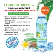 Очищающий спрей для игрушек CLEAR TOY Tropic - 100 мл. - Биоритм - купить с доставкой в Орле