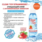 Очищающий спрей для игрушек CLEAR TOY Strawberry - 100 мл. - Биоритм - купить с доставкой в Орле