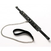 Черный ошейник с шипами и поводком - Crazy Handmade - купить с доставкой в Орле