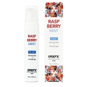 Возбуждающий гель Raspberry Mint с ароматом малины и мяты - 15 мл. - Exsens - купить с доставкой в Орле