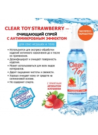 Очищающий спрей для игрушек CLEAR TOY Strawberry - 100 мл. - Биоритм - купить с доставкой в Орле