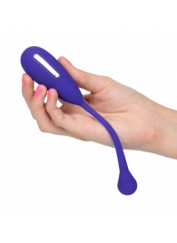 Фиолетовый шарик с электростимуляцией и вибрацией Intimate E-Stimulator Remote Kegel Exerciser - California Exotic Novelties - купить с доставкой в Орле