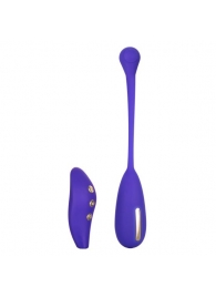 Фиолетовый шарик с электростимуляцией и вибрацией Intimate E-Stimulator Remote Kegel Exerciser - California Exotic Novelties - купить с доставкой в Орле