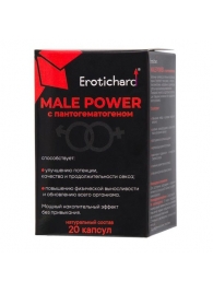 Капсулы для мужчин Erotichard male power с пантогематогеном - 20 капсул (0,370 гр.) - Erotic Hard - купить с доставкой в Орле