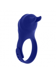 Синее эрекционное виброкольцо с клиторальной подушечкой и пультом ДУ Adjustable Fun Ring - Zero Tolerance - в Орле купить с доставкой