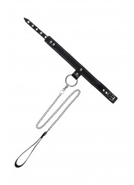 Черный узкий однослойный ошейник с серебристым поводком-цепочкой - Pecado - купить с доставкой в Орле