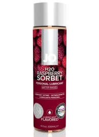 Лубрикант на водной основе с ароматом малины JO Flavored Raspberry Sorbet - 120 мл. - System JO - купить с доставкой в Орле