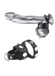 Утяжка для мошонки и пениса Cock Ring With 1  Ball Stretcher And Optional Weight Ring - BlueLine - купить с доставкой в Орле