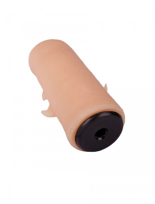 Черный пояс-трусики с двумя насадками  Экзотик-Sara  - 16,5 и 11 см. - LOVETOY (А-Полимер) - купить с доставкой в Орле