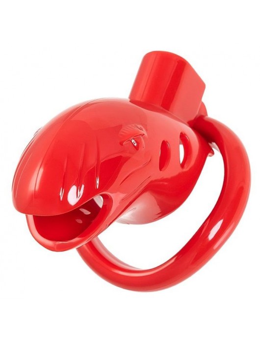 Красный мужской пояс верности из пластика - ToyFa - купить с доставкой в Орле