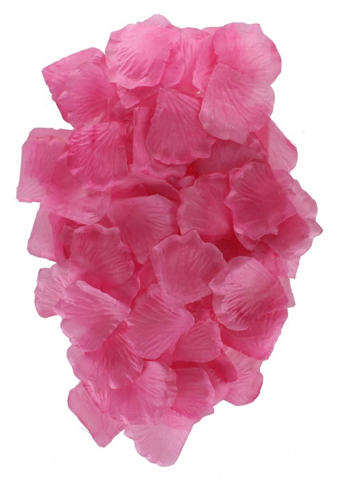 Эротический набор FANTASTIC PURPLE SEX TOY KIT - Toy Joy - купить с доставкой в Орле