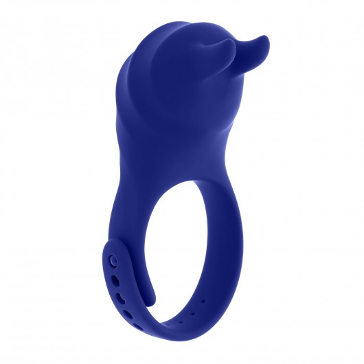Синее эрекционное виброкольцо с клиторальной подушечкой и пультом ДУ Adjustable Fun Ring - Zero Tolerance - в Орле купить с доставкой