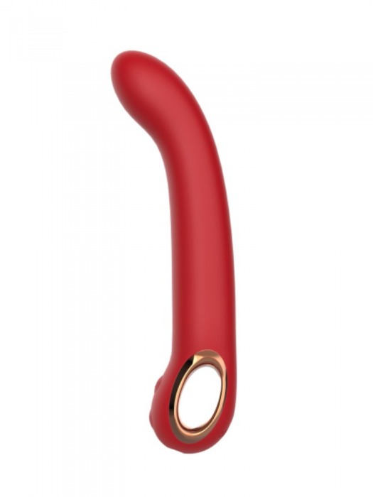 Красный силиконовый вибратор с загнутым кончиком - 22,1 см. - Secwell купить в Орле с доставкой в Orgasmix.ru Красный силиконовый вибратор с загнутым кончиком - 22,1 см. - Secwell