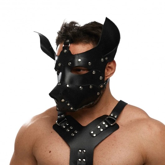 Черная кожаная маска «Собака» - Crazy Handmade - купить с доставкой в Орле Черная кожаная маска «Собака» - Crazy Handmade - купить с доставкой в Орле