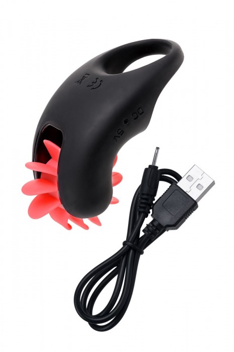 Чёрно-красное эрекционное виброкольцо Erotist - Erotist Adult Toys - в Орле купить с доставкой