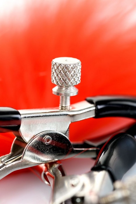 Зажимы для сосков с красным пухом Theatre - ToyFa - купить с доставкой в Орле