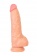 Телесный фаллоимитатор York - 20 см. - ToyFa купить с доставкой в интернет-магазине Orgasmix в Орле Телесный фаллоимитатор York - 20 см. - ToyFa